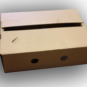 green beans pepper box