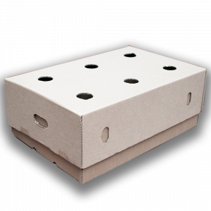 Banana Box Kraft Base and Lid